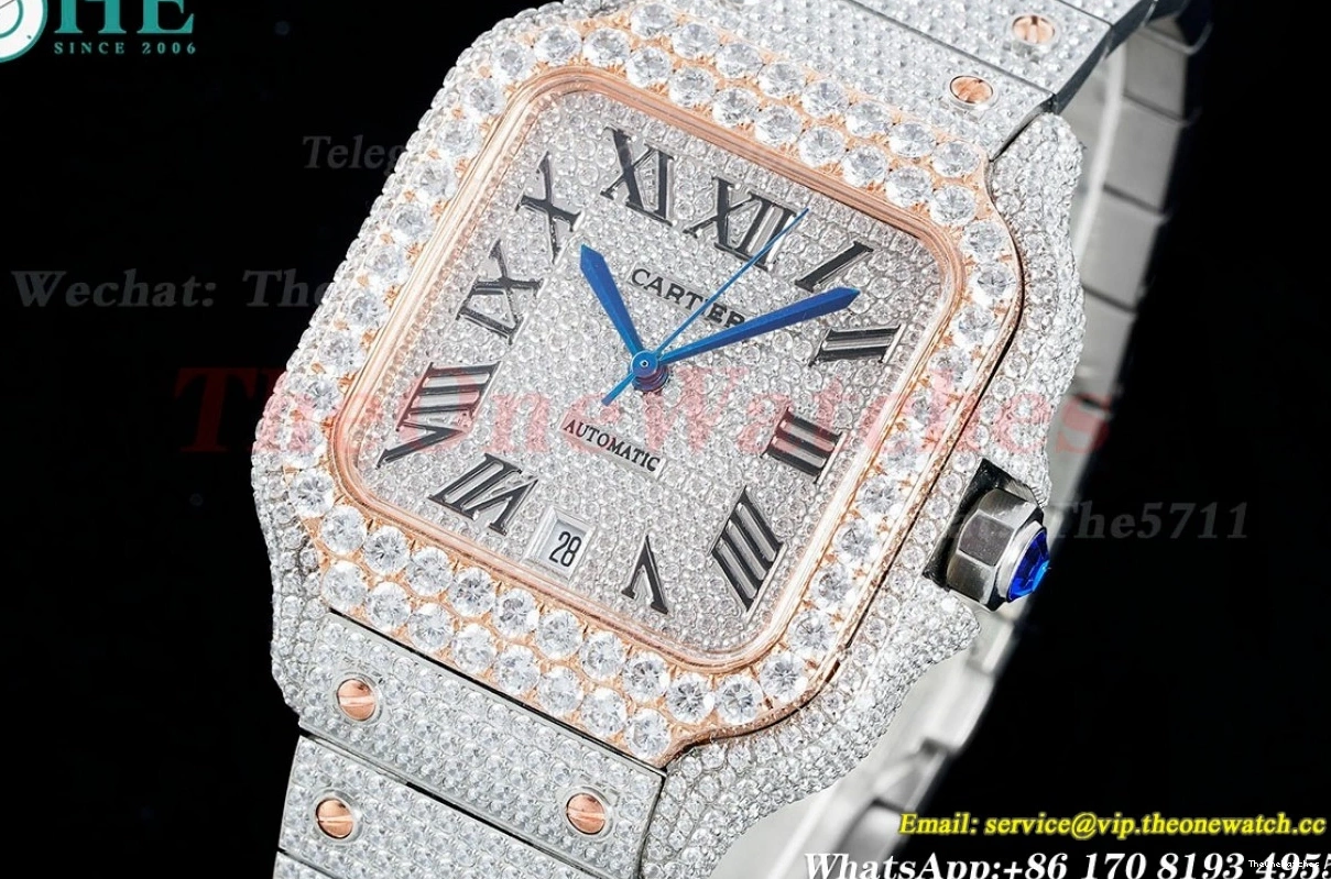 AMG 40mm Mens RG Rmn Dia SS XL MY9015 Santos 100 SS 0415